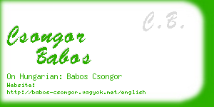 csongor babos business card